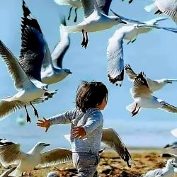 LUNEDÌ e MARTEDÌ - corsi settimanali di Biodanza a Milano con Viviana Geron