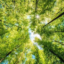 Corso settimanale di Biodanza '25-'26 a Vimodrone in zona Milano-est con Clara Pepe, facilitatrice di biodanza, psicologa e psicoterapeuta